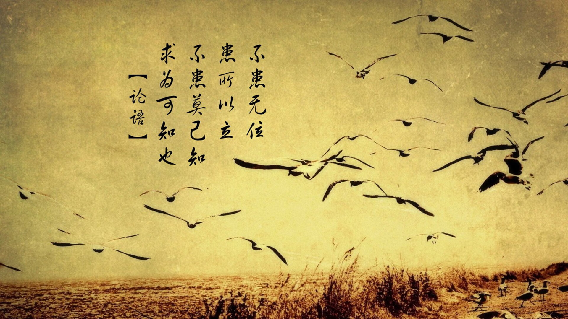 WRC人气车手TOP10：粉丝票选最喜爱选手，wrc热门车型