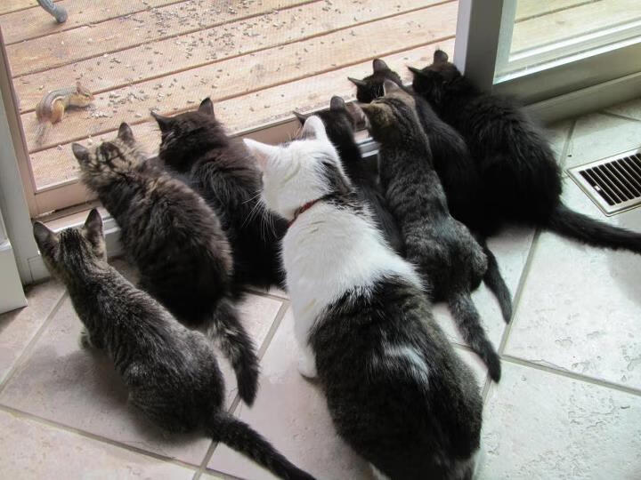 _猛龙奋勇作战，逐步接近季后赛_，18～19猛龙季后赛赛程