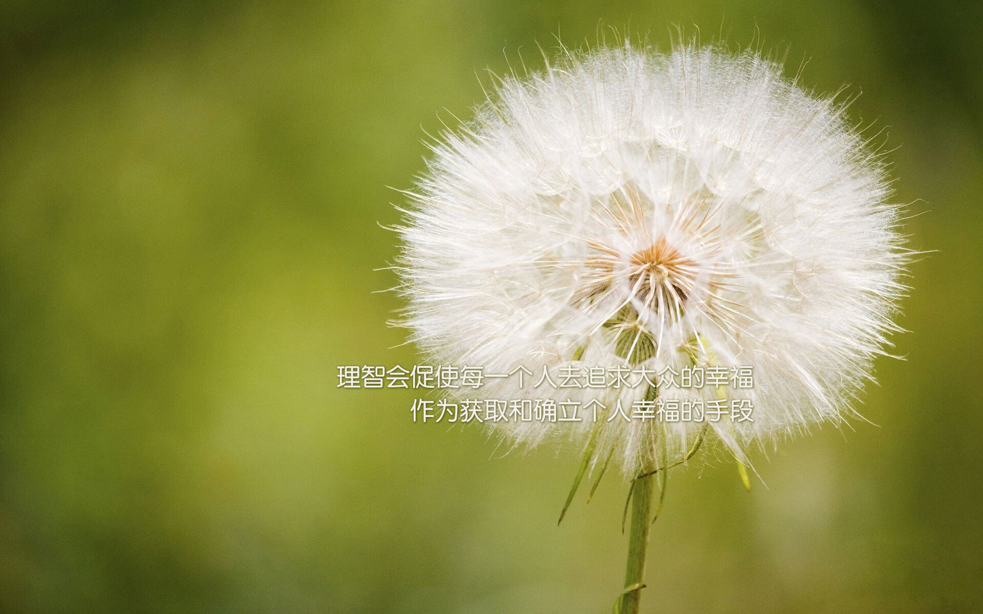 im体育网站-“冰雪奇迹：北极圈最激烈的雪地赛段揭秘”，冰雪奇缘特别篇 北极之光 在线观看