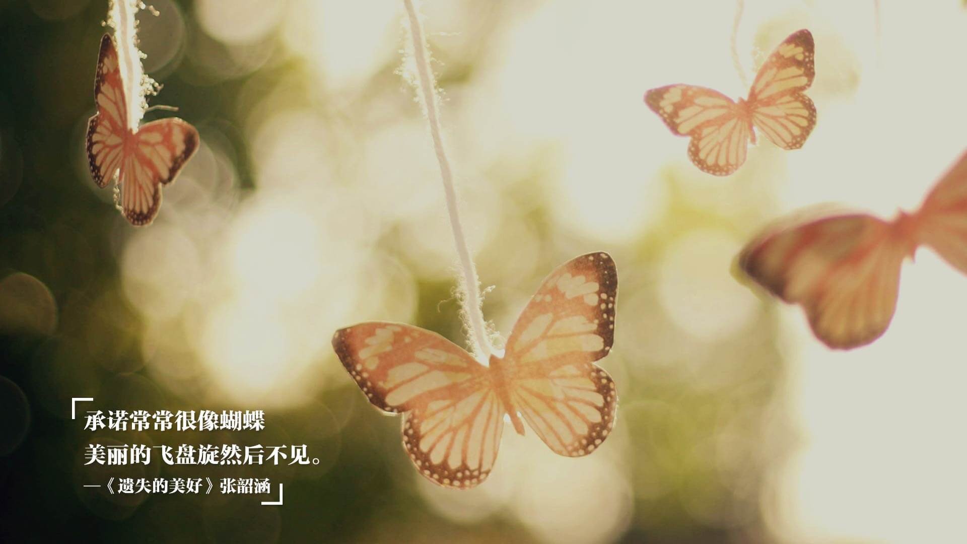 im电竞官网-灰熊旗下电竞队伍冲进北美前列，灰熊属于哪个赛区
