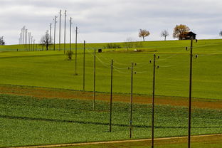 im体育平台官网-球员体能负荷评估工具上线助力教练科学制定训练计划，体育负荷强度
