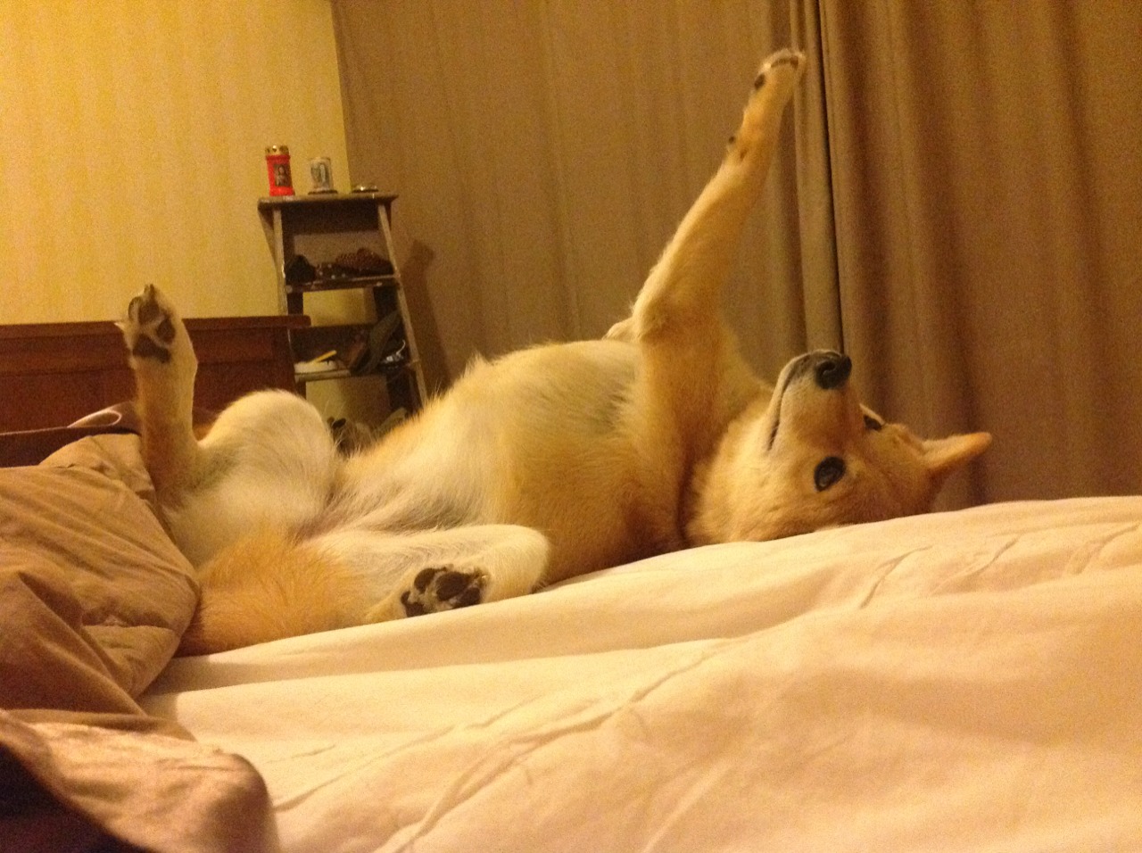 西甲攻守大戏:精彩转瞬即逝,战术巅峰!,西甲球队vll