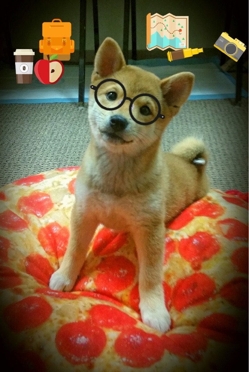 im体育官网首页-詹姆斯签约新东家NBA总决赛，詹姆斯首进总决赛