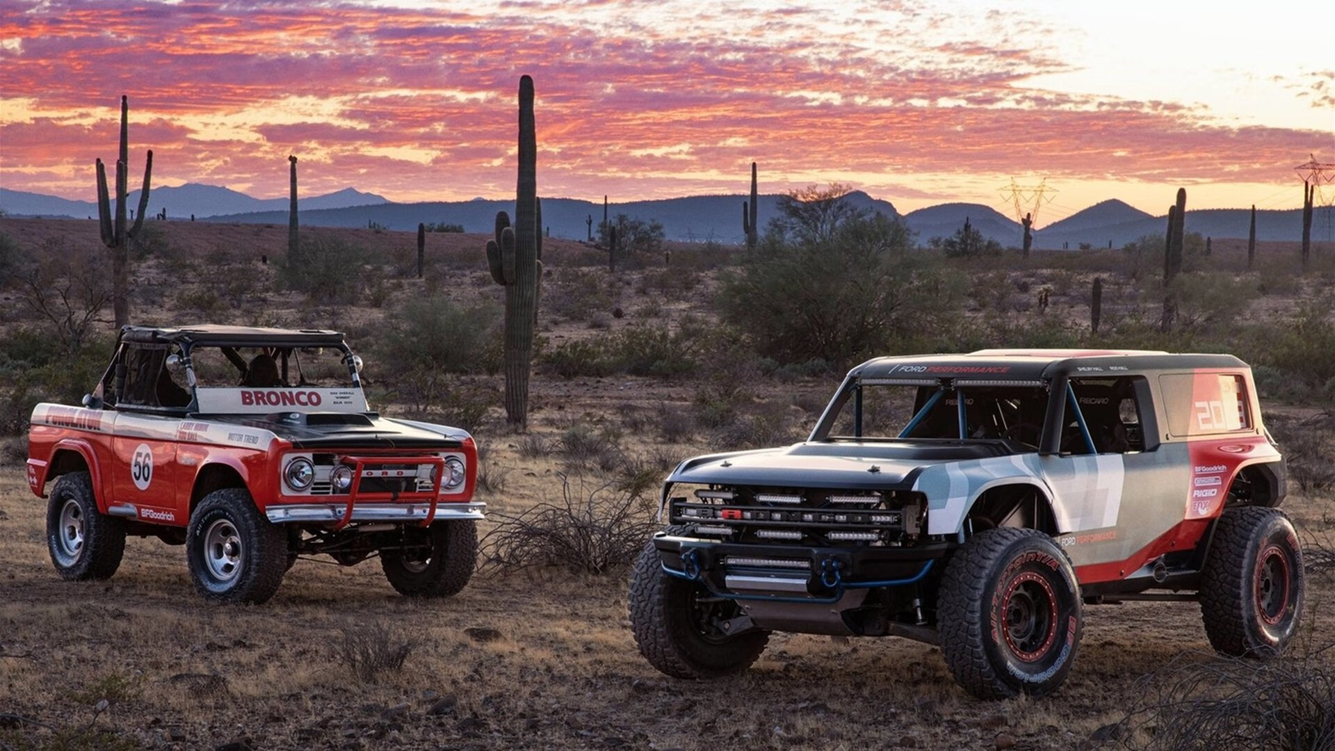 IM体官网-足球守门员专项装备发布会举行，守门员规则详细_足球守门员规则图解